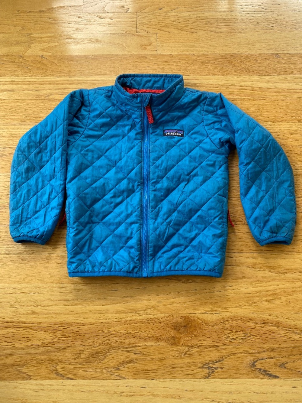 Patagonia Nanopuff Jacket